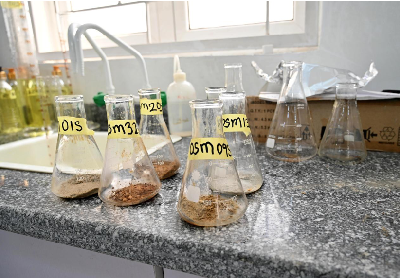 Soil Analysis