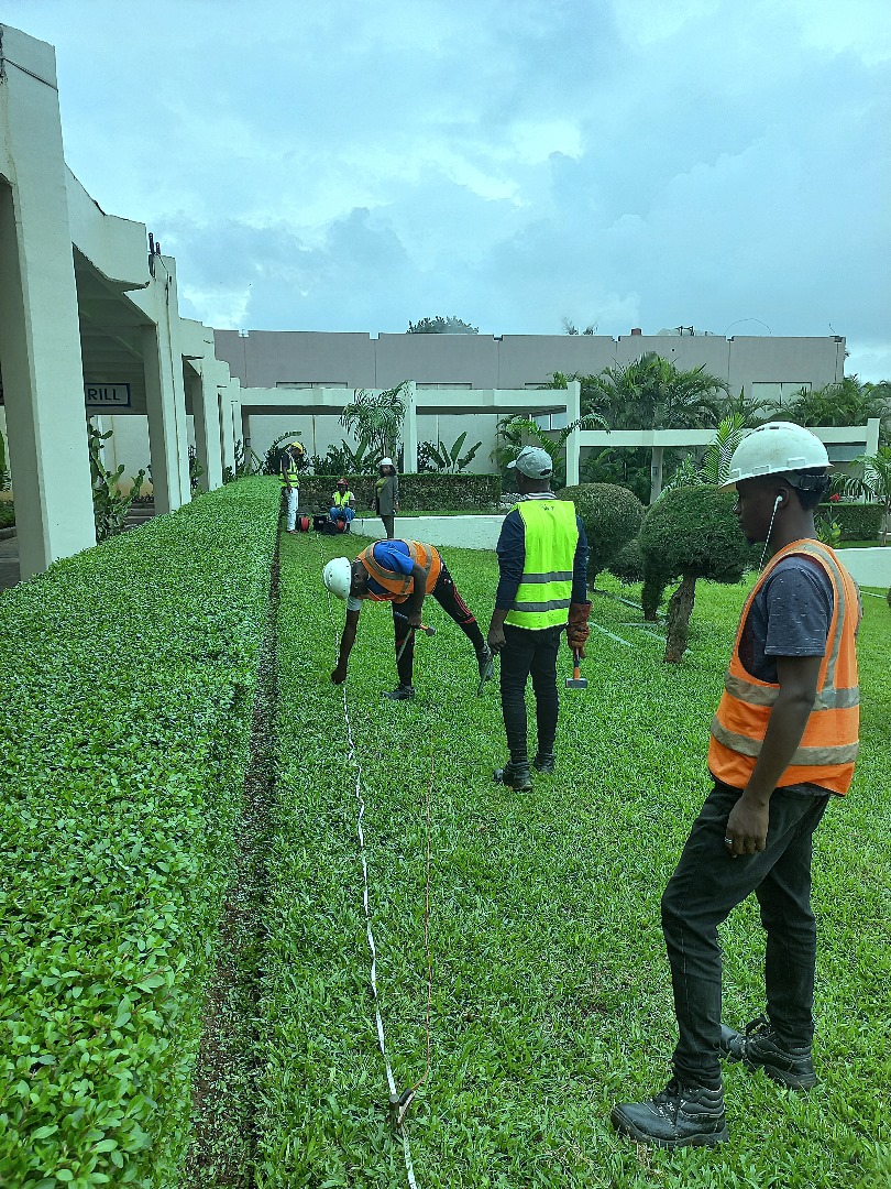 Field Work