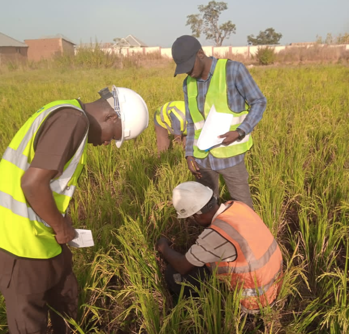 Soil Analysis